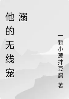 他的無線寵溺 封面
