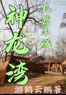 神龍灣 封面
