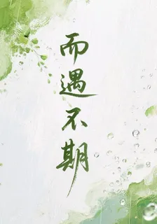 而遇不期 封面