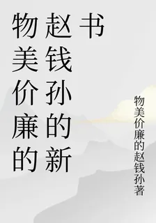 物美價廉的趙錢孫的新書 封面