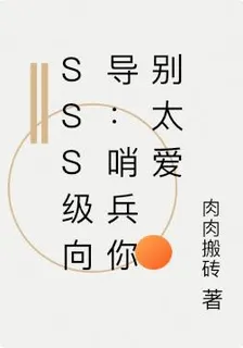 sss級嚮導：哨兵你別太愛 封面