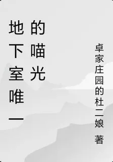 地下室唯一的喵光 封面