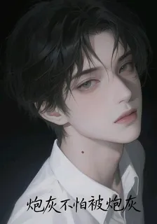 炮灰不怕被炮灰 封面