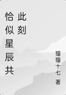 恰似星辰共此刻 封面