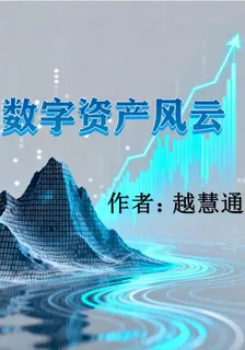 數字資產風雲 封面