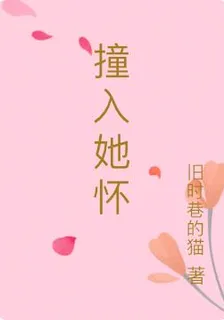撞入她懷 封面