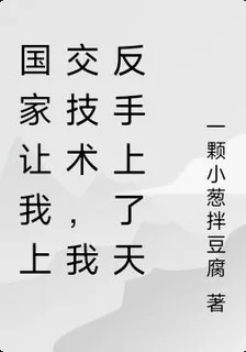 國家讓我上交技術，我反手上了天 封面