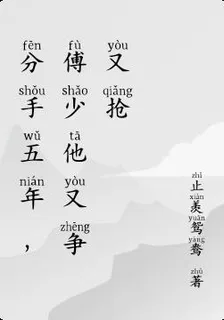 分手五年，傅少他又爭又搶 封面