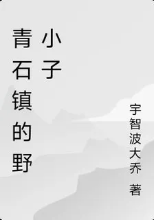 青石鎮的野小子 封面