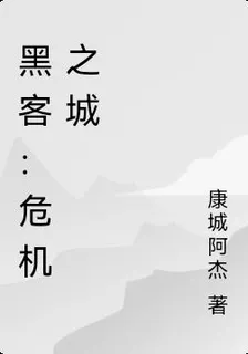 黑客：危機之城 封面