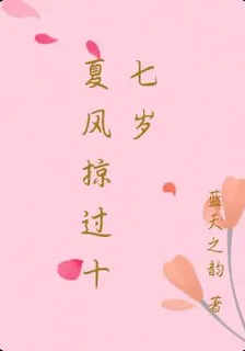 夏風掠過十七歲 封面
