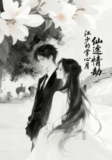 仙途情劫：江少的掌心月 封面