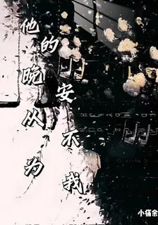 他的晚安，從不爲我 封面