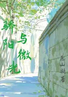 驕陽與微光 封面