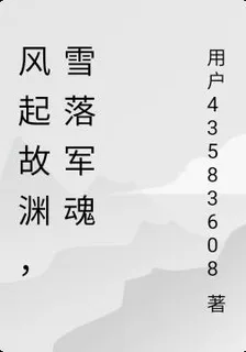 風起故淵，雪落軍魂 封面