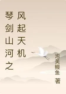 琴劍山河之風起天機 封面