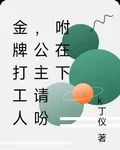 金牌打工人，公主請吩咐在下 封面