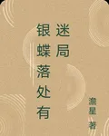銀蝶落處有迷局 封面