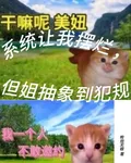 系統讓我擺爛，但姐抽象到犯規 封面