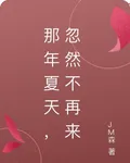 那年夏天，忽然不再來 封面