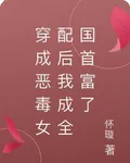 穿成惡毒女配後我成全國首富了 封面