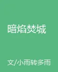 暗焰焚城 封面