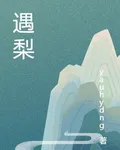 佳梨 封面