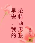 早安，我的范特西男孩 封面
