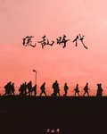 慌亂時代 封面