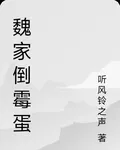 魏家倒黴蛋 封面
