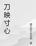 刀映寸心 封面