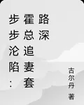 步步淪陷：霍總追妻套路深 封面