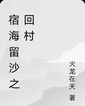 宿海留沙之回村 封面