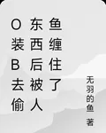 o裝b去偷東西后被人魚纏住了 封面