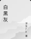 白黑灰 封面