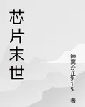 芯片末世 封面
