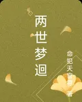 兩世夢迴 封面