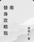 替身攻略指南 封面