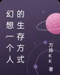 幻想一個人的生存方式 封面