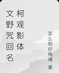文野咒回名柯觀影體 封面