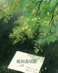 暖陽遇昭星 封面