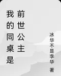 我的同桌是前世公主 封面