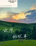 雲原的故事 封面