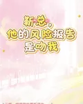 靳總，他的風險報告是吻我 封面