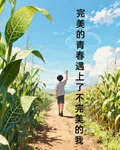 完美的青春遇上了不完美的我 封面