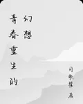 青春重生的幻想 封面