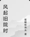 風起舊院時 封面