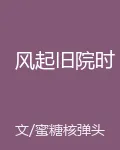 風起舊院時 封面