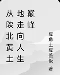 從黃土地走向人生巔峯 封面
