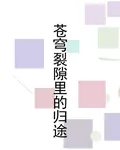 蒼穹裂隙裏的歸途 封面